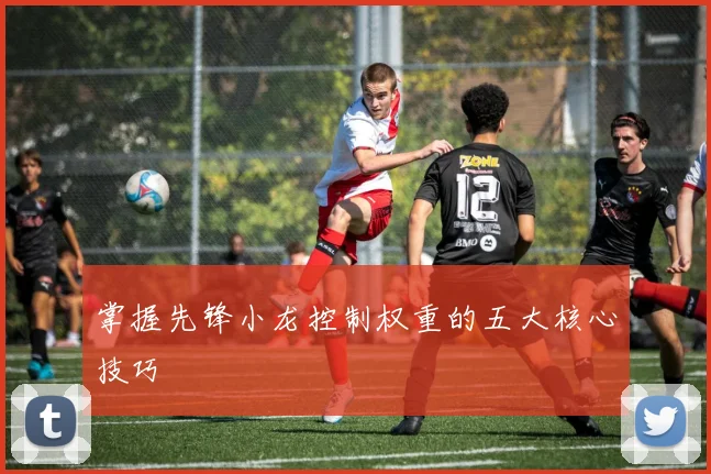 掌握先锋小龙控制权重的五大核心技巧