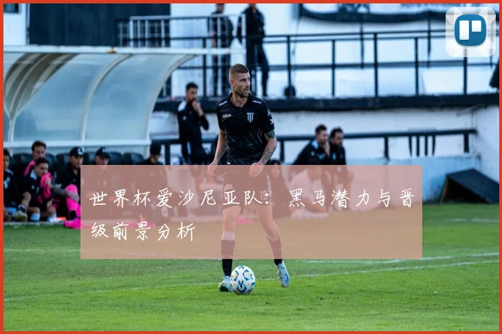 世界杯爱沙尼亚队：黑马潜力与晋级前景分析