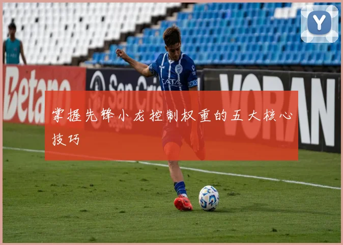 掌握先锋小龙控制权重的五大核心技巧