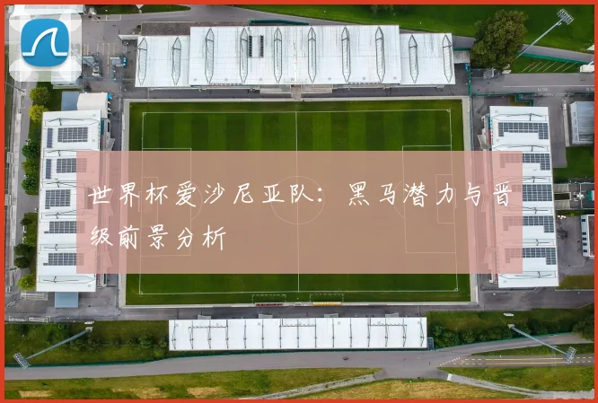 世界杯爱沙尼亚队:黑马潜力与晋级前景分析