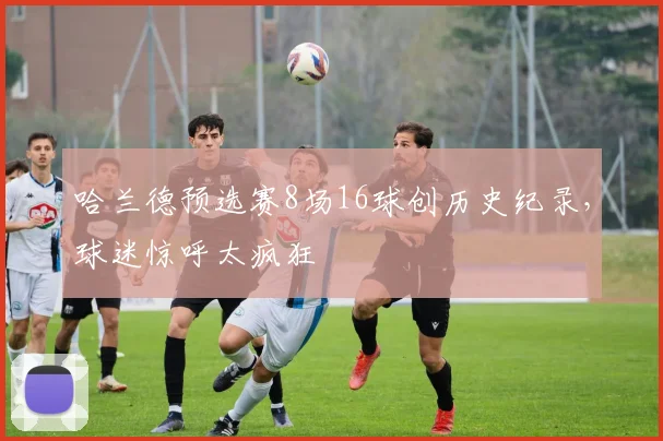 哈兰德预选赛8场16球创历史纪录,球迷惊呼太疯狂